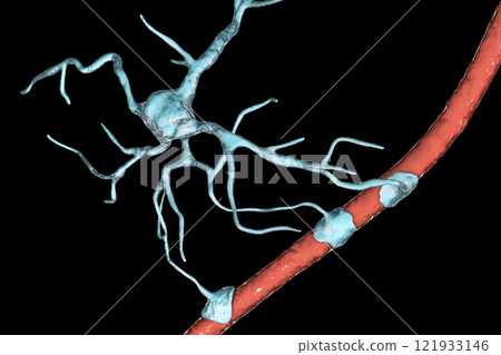 Astrocyte and blood vessel 121933146