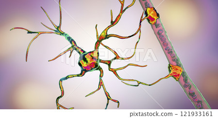 Astrocyte and blood vessel 121933161