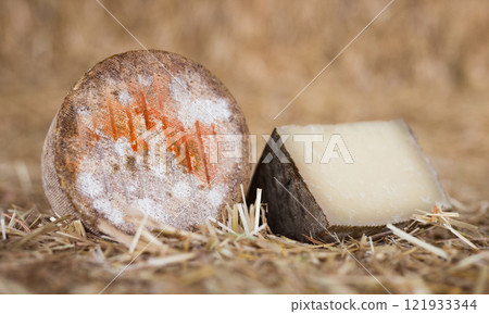whole head of ripe country cheese and slices on hay 121933344