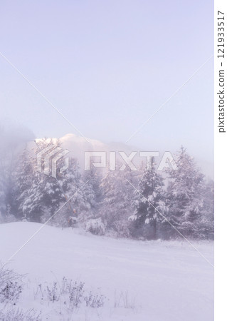 Bansko, Bulgaria resort panorama with snow cannon Bansko, Bulgaria resort panorama with snow cannon 121933517