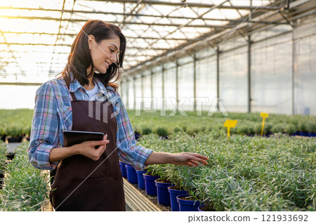 Female greenhouse worker checking the plants condition in a greenhouse Female greenhouse worker checking the plants condition in a greenhouse 121933692