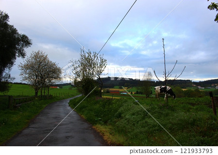 Endless Road Camino（聖地亞哥朝聖） 121933793