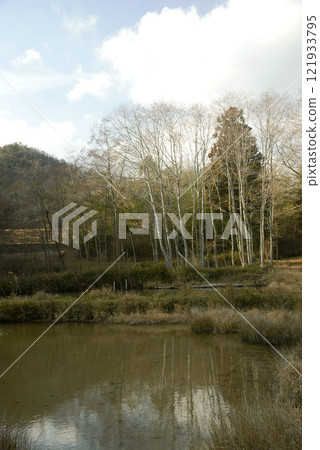 Hyogo Prefecture, Takarazuka Nishitani Forest Park rice fields 121933795