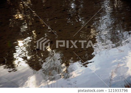 Hyogo Prefecture, Takarazuka Nishitani no Mori Park, rice fields with blue sky 121933796