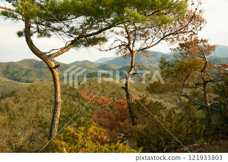 Hyogo Prefecture, Takarazuka Nishitani Forest Park Hyogo Prefecture, Takarazuka Nishitani Forest Park 121933803