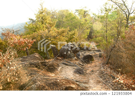 Hyogo Prefecture, Takarazuka Nishitani Forest Park 121933804