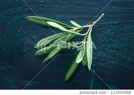 Olive branch with vibrant green leaves on a wooden table Olive branch with vibrant green leaves on a wooden table 121933998