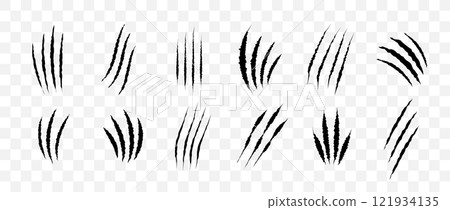 Cat scratch. Black claw scratches set isolated on transparent background. Dragon, bear or tiger claw marks. Halloween monster paw scratch trace on surface. Flat vector illustration 121934135