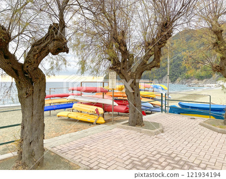 Beach and trees of Liguria near sea. Nature of Mediterranean Sea in winter. Background for design. Beach and trees of Liguria near sea. Nature of Mediterranean Sea in winter. Background for design. 121934194