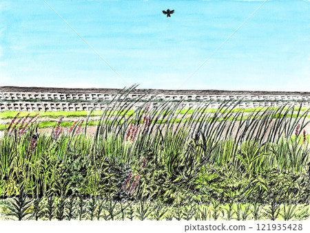 Fried skylark dancing in the fragrant breeze 121935428