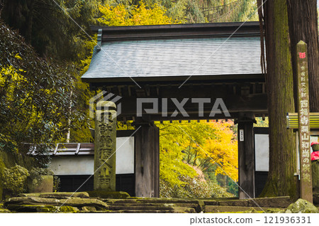 [Saifukuji Temple] Mountain gate and yellow leaves [Shiojiri City] 121936331