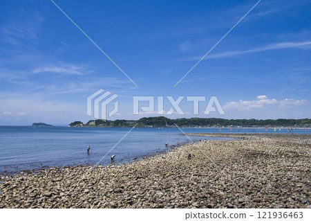 [鎌倉市] 退潮時的瓦開島 121936463