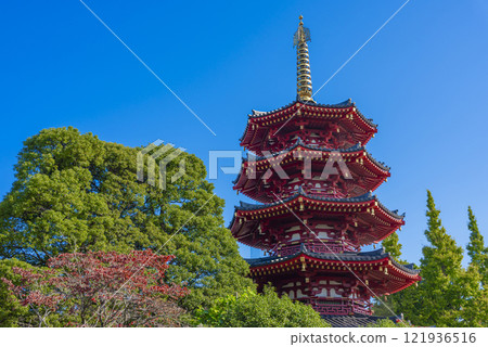 Kawasaki Daigaku's octagonal five-storied pagoda Kawasaki Daigaku's octagonal five-storied pagoda 121936516
