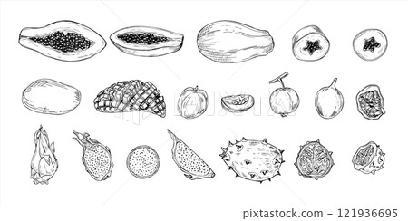 Aromatic tropical fruit mix hand drawn black and white vector illustration. Papaya, kiwano, carambola, maracuja , Pitahaya and mango fruits monochrome clip art. Food elements for summer decor. Aromatic tropical fruit mix hand drawn black and white vector illustration. Papaya, kiwano, carambola, maracuja , Pitahaya and mango fruits monochrome clip art. Food elements for summer decor. 121936695