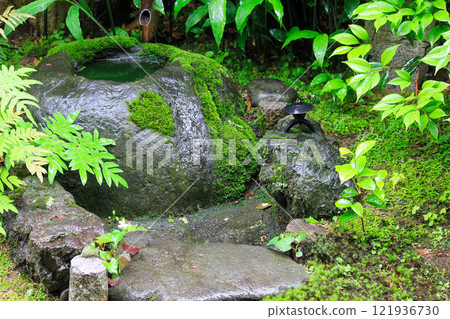 Landscape of greenery and stone lantern in the courtyard of a rural house 121936730