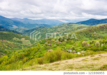beautiful countryside of ukraine. remote travel destination. cloudy morning. wonderful springtime landscape in mountains. grassy field and rolling hills. rural scenery. carpathian mountain range 121936955
