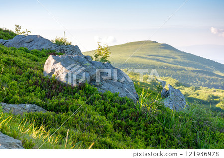 nature scenery with rolling alpine highlands of ukraine in summer. dyllic weather. carpathian mountain landscape with huge boulders on the grassy hillside. spectacular terrain for hike 121936978