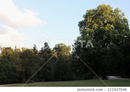 Aozora公園 121937046