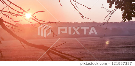 Rural landscape, nature photo, fields with wheat, background of ripening ears at sunrise, cloudy, sky background, horizon, rural meadows, country road, also, river, birch grove, Ukraine, Kharkov, prin 121937337