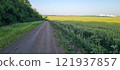 Rural landscape, nature photo, fields with wheat, background of ripening ears at sunrise, cloudy, sky background, horizon, rural meadows, country road, also, river, birch grove, Ukraine, Kharkov, prin 121937857