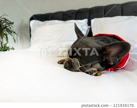 A small dog is peacefully napping on a bed with soft white linens, wearing stylish round glasses and surrounded by cozy decor 121938170