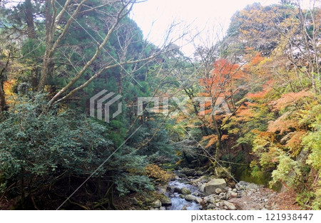 Autumn on the Amagi Old Shimoda Highway Autumn on the Amagi Old Shimoda Highway 121938447