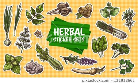 Stickers pack of spices and seasoning herbs sketches. Vector hand drawn rosemary, basil, thyme and parsley plants green leaves. Oregano, garlic, mint and nutmeg, cilantro, dill and poppy flower seeds Stickers pack of spices and seasoning herbs sketches. Vector hand drawn rosemary, basil, thyme and parsley plants green leaves. Oregano, garlic, mint and nutmeg, cilantro, dill and poppy flower seeds 121938665
