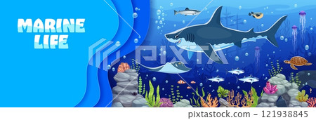 Marine life banner with underwater landscape, sea animals and fish cartoon characters. Funny shark, jellyfish, ray and sea turtle at coral reef underwater landscape background with 3d paper cut border 121938845