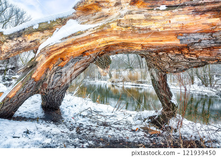 Brilliant landscape in city park with snowy trees and beautiful frozen river. Brilliant landscape in city park with snowy trees and beautiful frozen river. 121939450