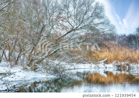 Excellent landscape in city park with snowy trees and beautiful frozen river. Excellent landscape in city park with snowy trees and beautiful frozen river. 121939454