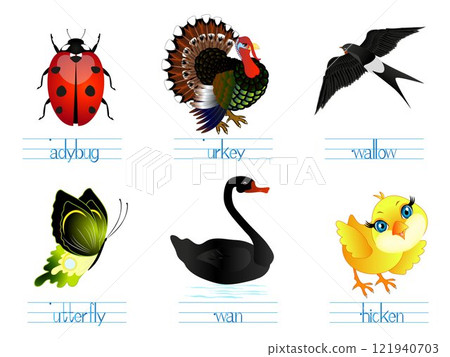 Educational games for children English. Look name write the letters. 121940703