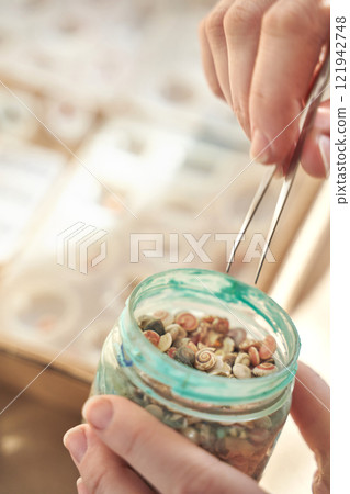 Hands using tweezers to select miniature shells from jar for craftwork 121942748
