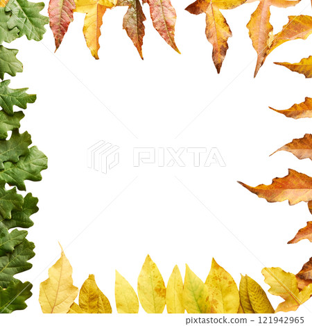 Colorful autumn leaves border on black background featuring green, yellow Colorful autumn leaves border on black background featuring green, yellow 121942965