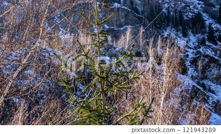 Mountains winter resort Mountains winter resort 121943289