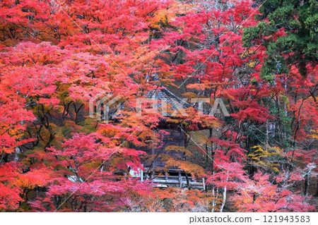 香蘭溪大士堂(愛知縣豐田市) 香蘭溪大士堂(愛知縣豐田市) 121943583