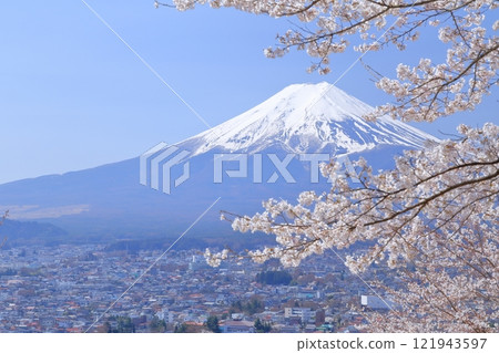 Fuji and cherry blossoms 121943597