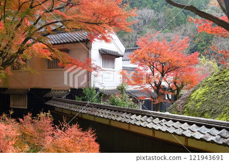 Korankei: Autumn leaves (Sanshu Asuke Mansion, Toyota City, Aichi Prefecture) 121943691