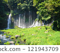 Japanese waterfall scenery 121943709