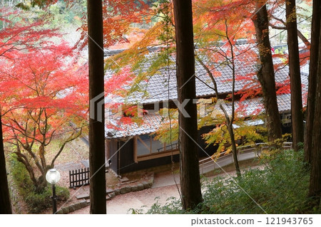 香蘭溪紅葉(愛知縣豐田市三州足助宅邸) 香蘭溪紅葉(愛知縣豐田市三州足助宅邸) 121943765