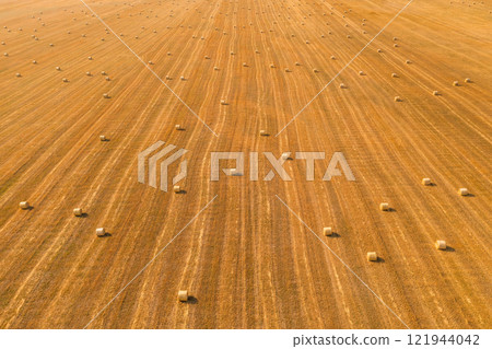 Aerial view of hay bales on agricultural field after harvest. Farm landscape. Drone perspective view of yellow cut grass striped pattern on field with many velour grasses bales. Dry fodder. Haying. Aerial view of hay bales on agricultural field after harvest. Farm landscape. Drone perspective view of yellow cut grass striped pattern on field with many velour grasses bales. Dry fodder. Haying. 121944042