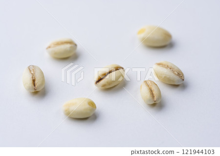 Close-up of barley on white background Close-up of barley on white background 121944103