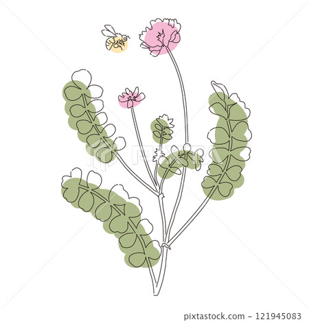 Milk vetch and bee simple color line drawing illustration Milk vetch and bee simple color line drawing illustration 121945083