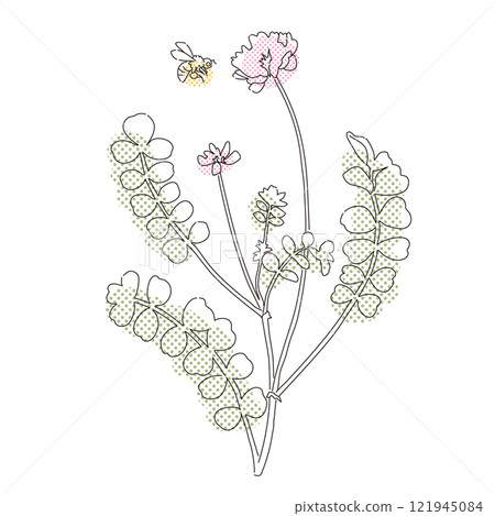 Milk vetch and honeybee: A roughly toned line drawing illustration 121945084