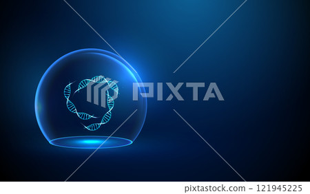 Abstract DNA double helix structures inside a glass dome. Protection, preservation of genetic information concept. Low poly style Abstract DNA double helix structures inside a glass dome. Protection, preservation of genetic information concept. Low poly style 121945225