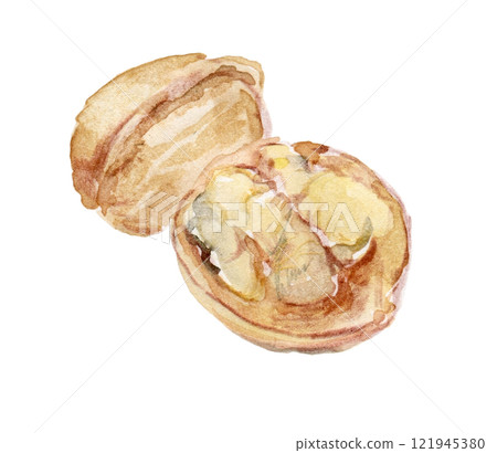 Cracked walnut 121945380