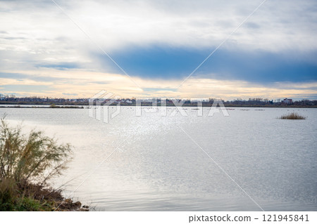 Landscape view of Salina nature park with flamingos near Ulcinj town in winter time in Montenegro Landscape view of Salina nature park with flamingos near Ulcinj town in winter time in Montenegro 121945841