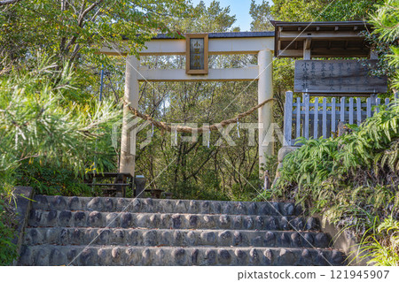 Scenery of the torii gate of Ogasa Shrine surrounded by fresh greenery in Kakegawa City (Shizuoka Prefecture) 121945907