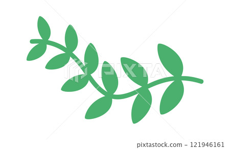 Green algae grass plant twig Green algae grass plant twig 121946161