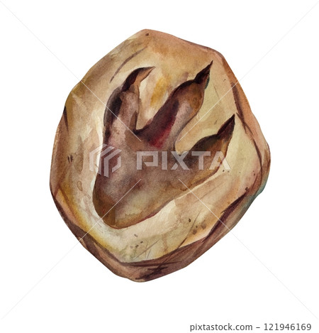 watercolor illustration of dinosaur footprints on white background hand-painted prehistoric art for educational artistic watercolor illustration of dinosaur footprints on white background hand-painted prehistoric art for educational artistic 121946169