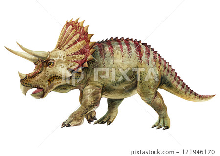 Realistic dinosaur. triceratops dinosaur watercolor hand painted prehistoric illustration isolated on white background Realistic dinosaur. triceratops dinosaur watercolor hand painted prehistoric illustration isolated on white background 121946170